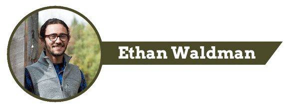 Ethan-Waldman