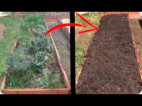 Cómo preparar el suelo para huertos